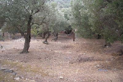 Недвижимость на о.Лесбос . Участок за городом площадью 0 кв.м.