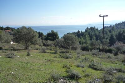 Недвижимость на Халкидики . Участок за городом площадью 4080 кв.м.