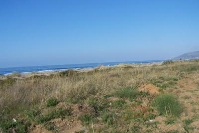 Недвижимость на о.Крит . Участок за городом площадью 94750 кв.м.