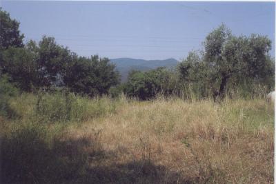 Недвижимость на Аспровалта . Участок за городом площадью 1700 кв.м.