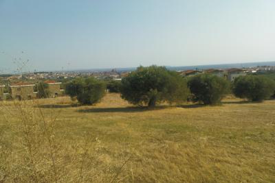 Недвижимость на Халкидики . Участок за городом площадью 5000 кв.м.