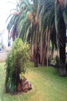 Недвижимость на Аттика . Бизнес площадью 240 кв.м.