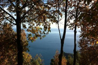 Недвижимость на Волос . Отель площадью 600 кв.м.