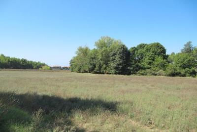 Недвижимость на Халкидики Кассандра. Участок за городом площадью 4170 кв.м.