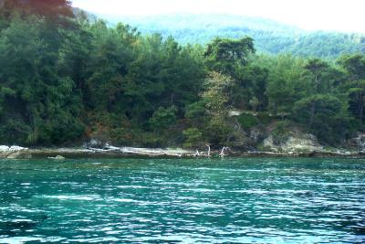 Недвижимость на о.Тасос . Инвестиционный проект площадью 300 кв.м.