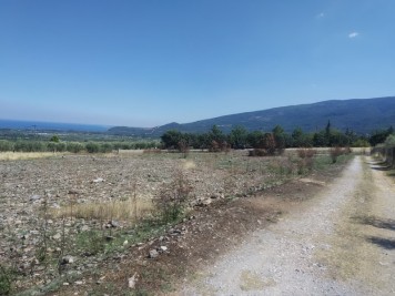 Недвижимость на Пиерия . Участок за городом площадью 6000 кв.м.